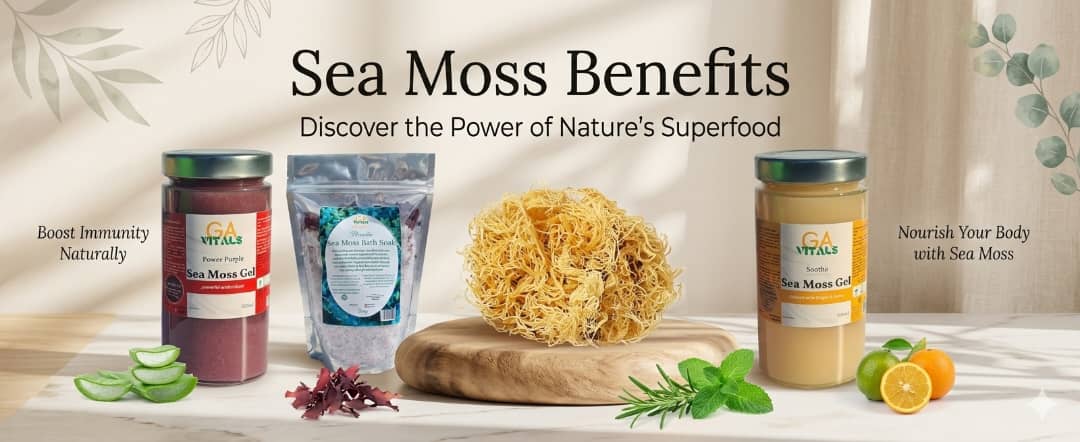 Sea Moss Benefits: Why This Ocean Superfood Is Trending Worldwide
