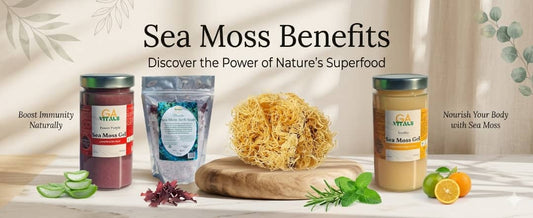 Sea Moss Benefits: Why This Ocean Superfood Is Trending Worldwide