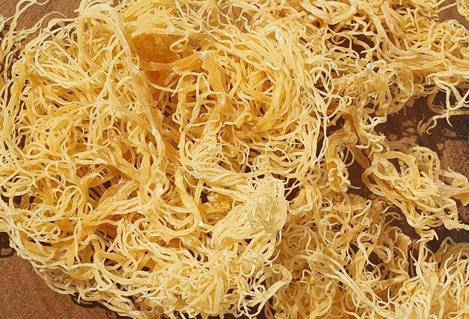 Dried Sea Moss