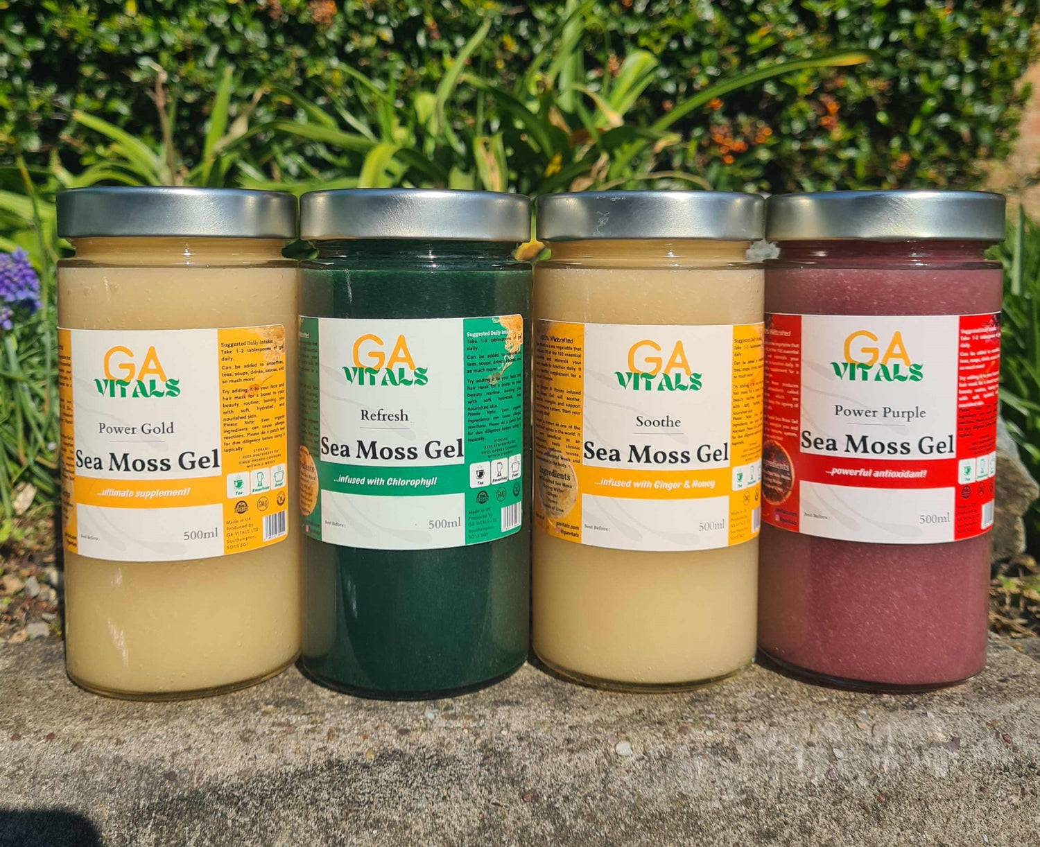 GA VITALS - For Top-Quality Sea Moss products. Shop our high quality Vital Power and Infusion products! Subscribe & Save up to 15% | Free Delivery on all Orders OVER £40.