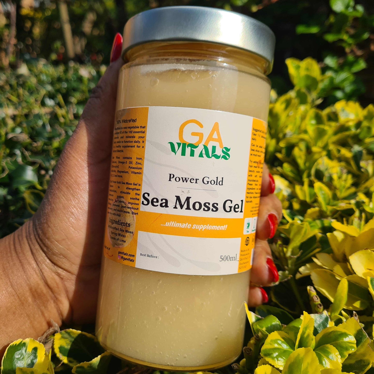 GA VITALS - For Top-Quality Sea Moss products. Shop our high quality Vital Power and Infusion products! Subscribe & Save up to 15% | Free Delivery on all Orders OVER £40.