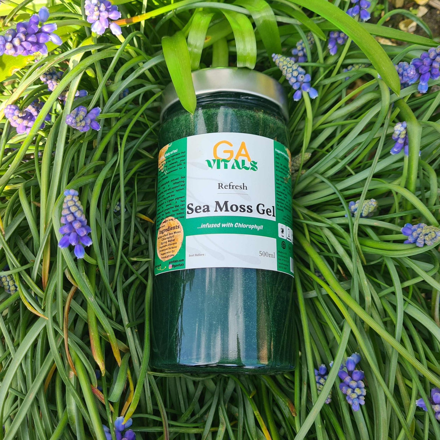 GA VITALS - For Top-Quality Sea Moss products. Shop our high quality Vital Power and Infusion products! Subscribe & Save up to 15% | Free Delivery on all Orders OVER £40.