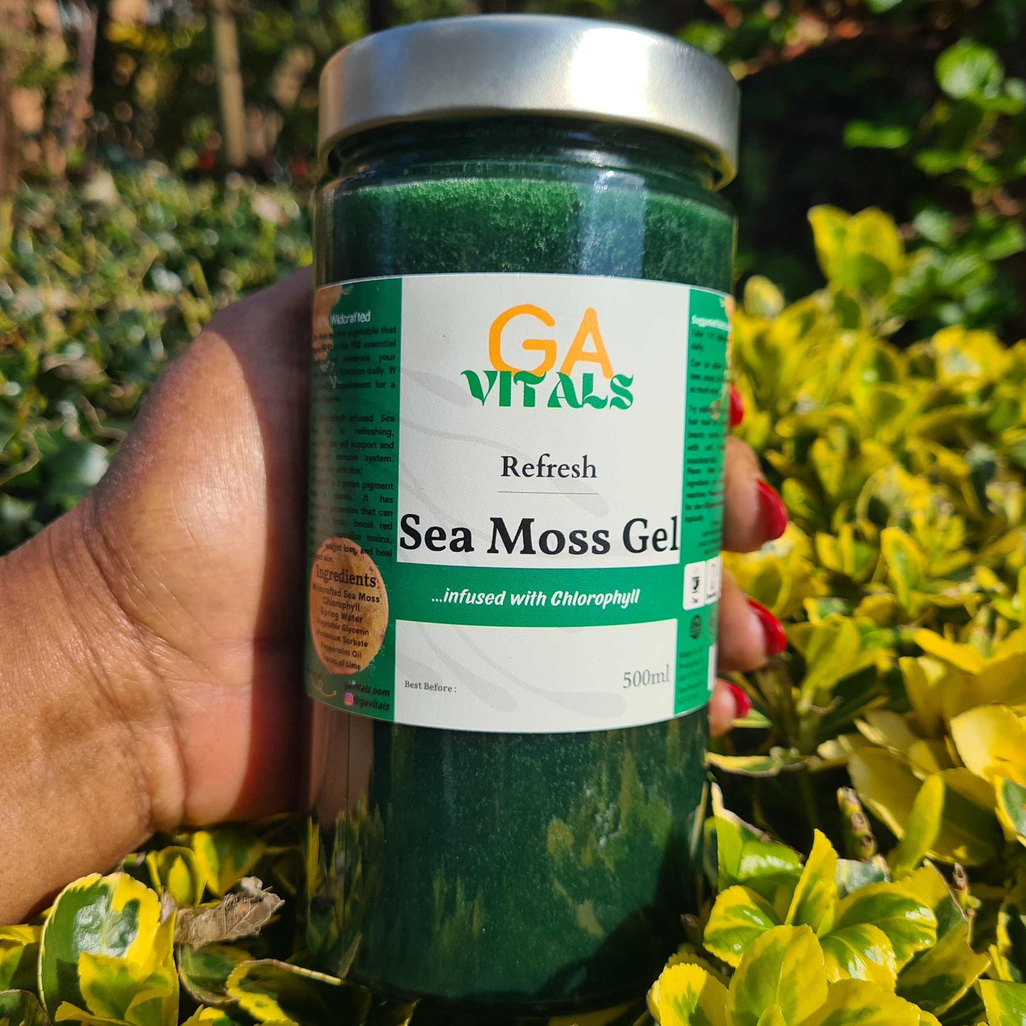 GA VITALS - For Top-Quality Sea Moss products. Shop our high quality Vital Power and Infusion products! Subscribe & Save up to 15% | Free Delivery on all Orders OVER £40.