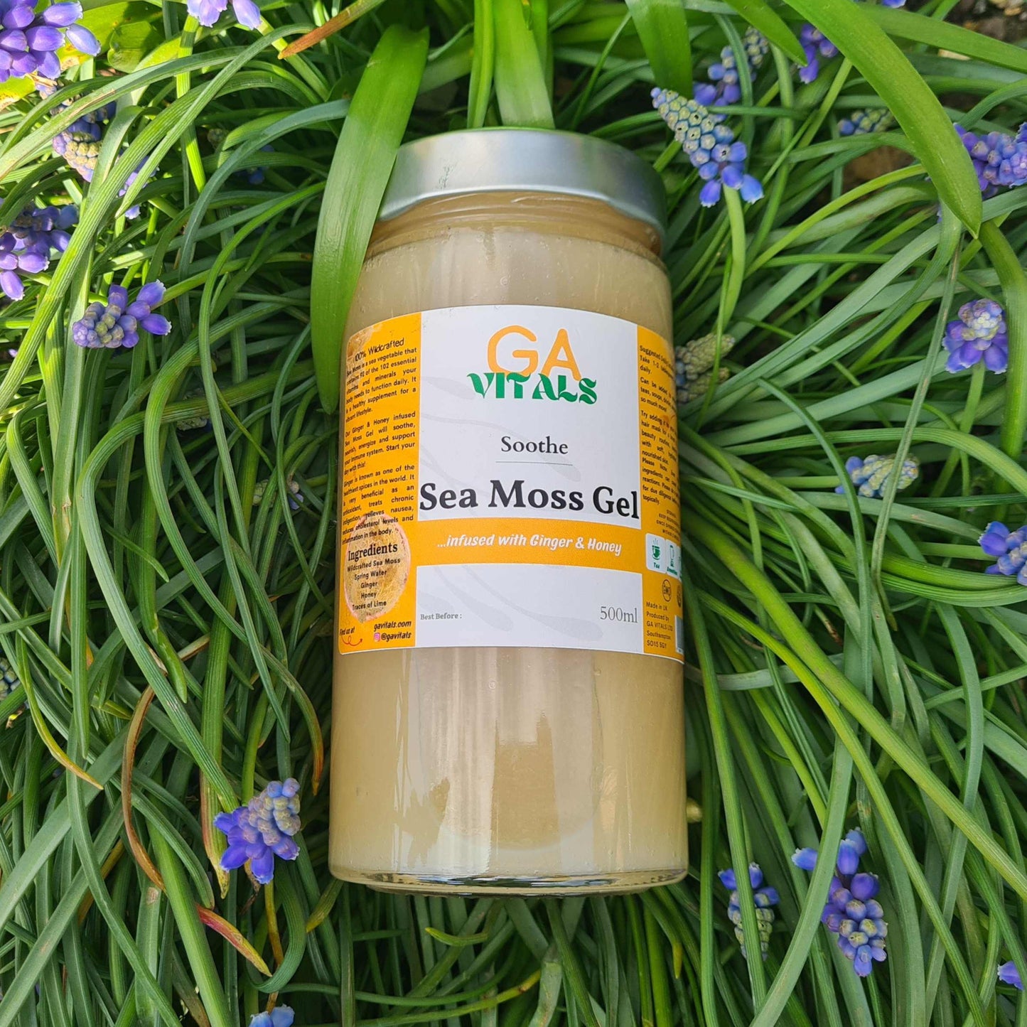 GA VITALS - For Top-Quality Sea Moss products. Shop our high quality Vital Power and Infusion products! Subscribe & Save up to 15% | Free Delivery on all Orders OVER £40.